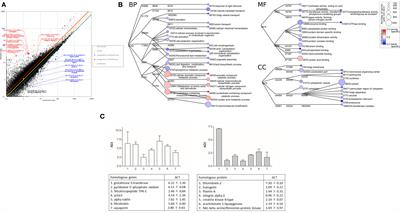 Transcriptomes of the Premature and Mature Ovaries of an Ascidian, Ciona intestinalis